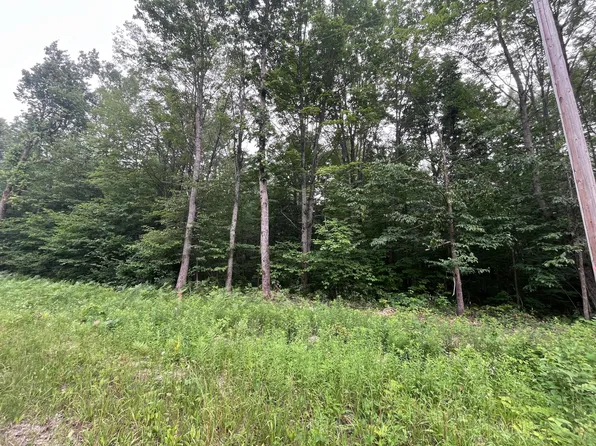 71 Valleyway Dr, Elmira, MI 49730