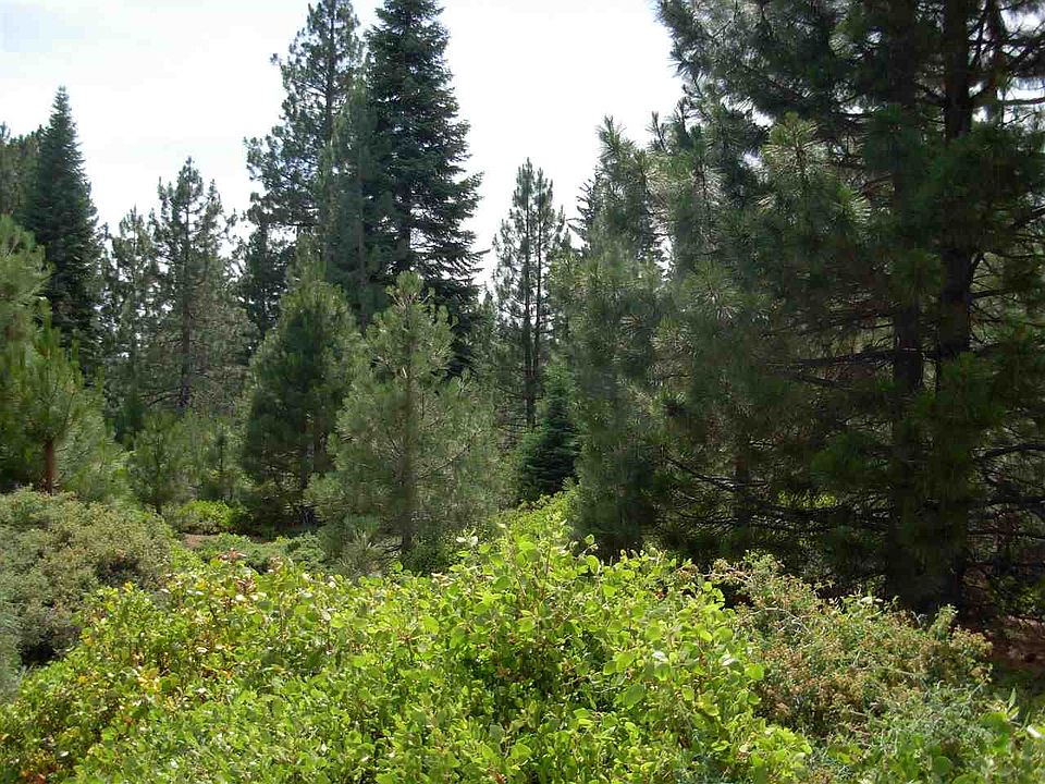 1st image of 246 Bailey Creek Dr