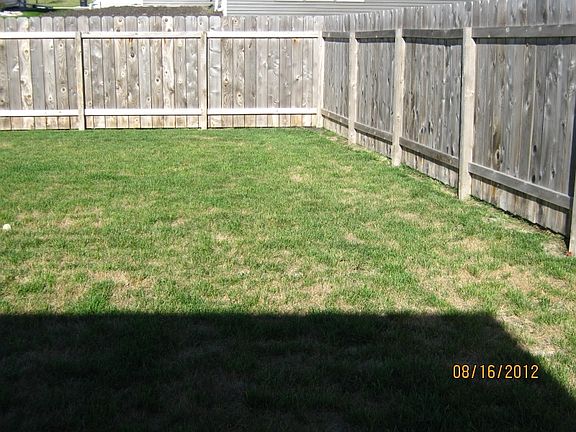 More back yard