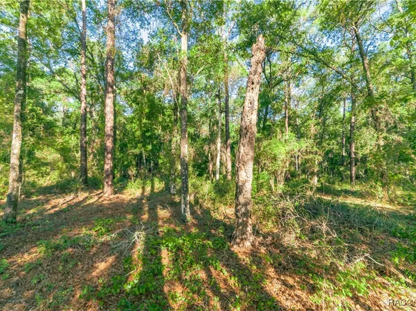5282 S Robert Blake Ave, Inverness, FL 34452