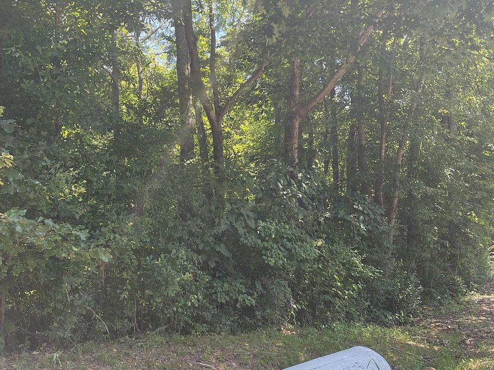 2nd image of 0 Adams Rd