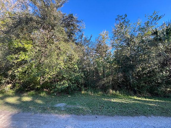 5th image of 9667 S Lotus Pt