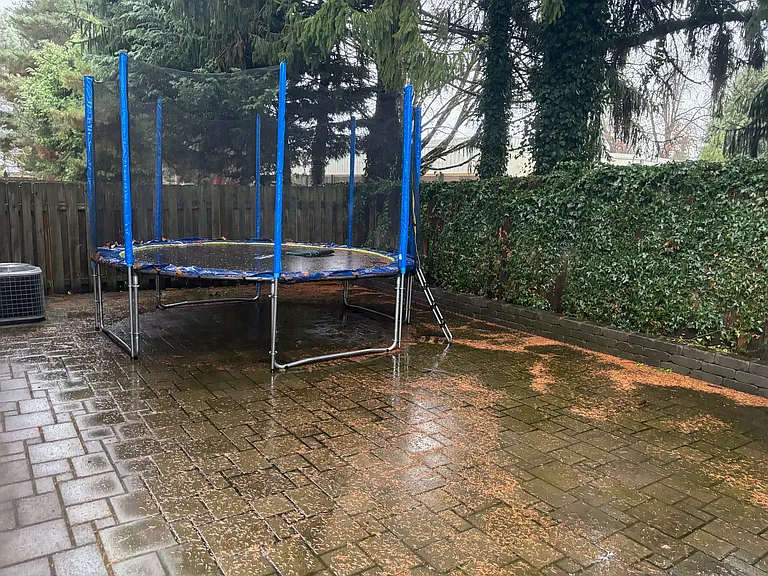 Backyard, trampoline to be moved before renter moves in.