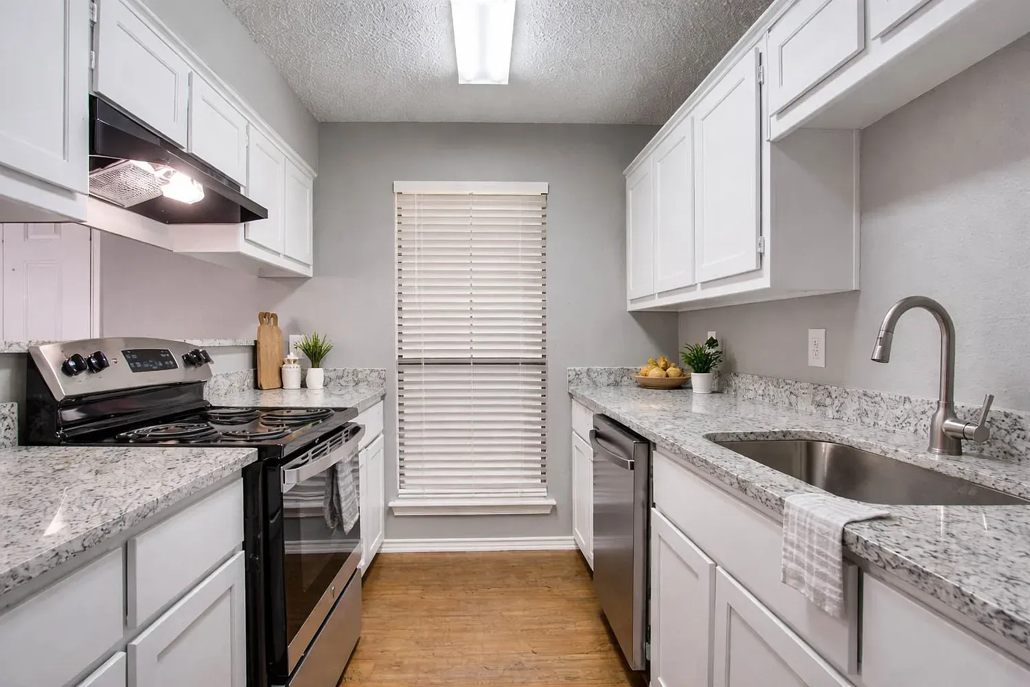 1 bed, 650 sqft, $850 — Photo 4