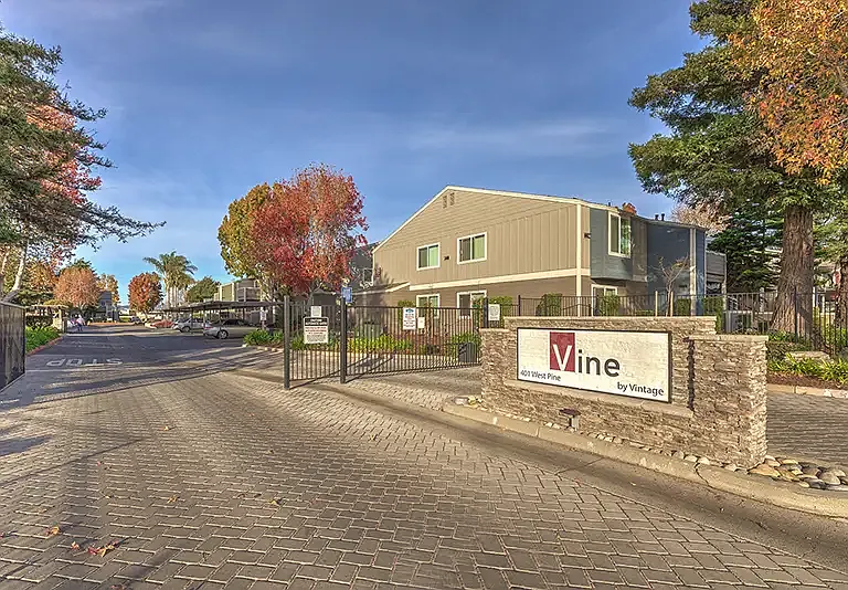 Vine By Vintage — Photo 6