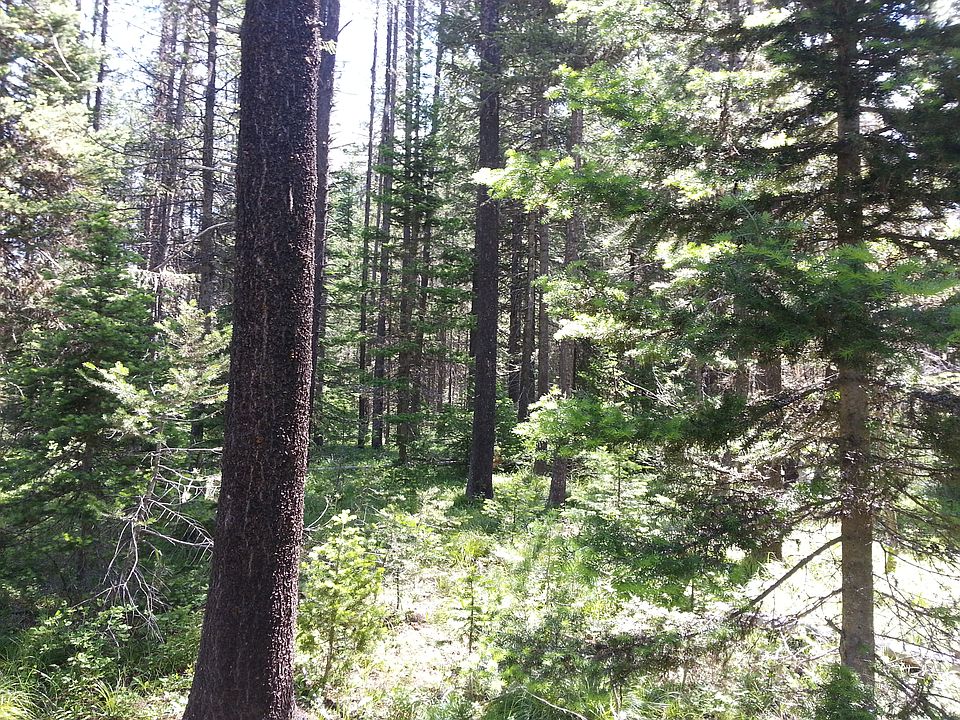 1st image of 14314 Us Highway 2 E