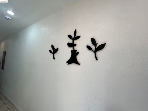 bay-area-california-2136137866 picture