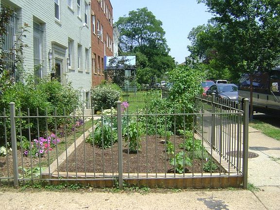 Community Garden