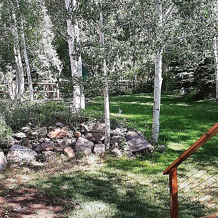 Back deck and yard