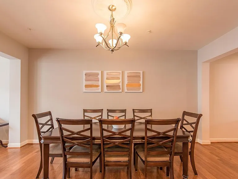 10515 Old Ellicott Cir — Photo 13