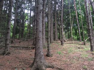 6944 Poverty Hill Rd, Ellicottville, NY 14731
