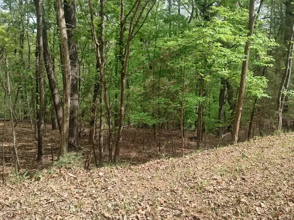 0 Shad Run Dr Lot 52, Moneta, VA 24121