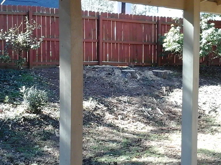 Fenced backyard