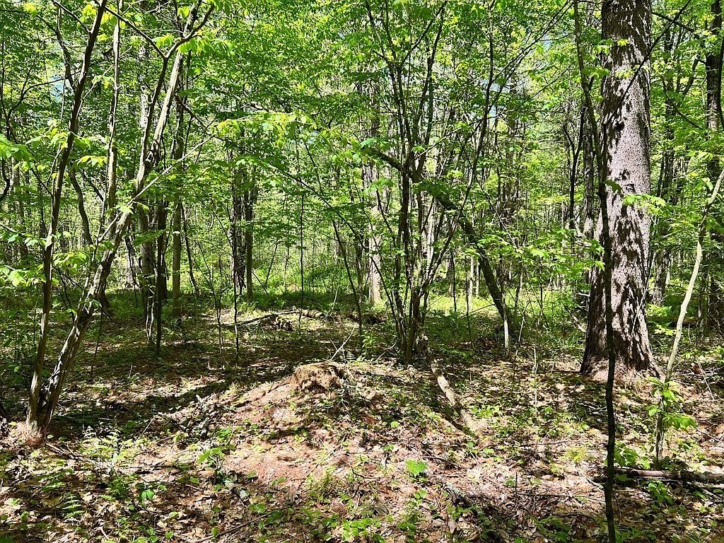 0 Sabin St L17.02, Belchertown, MA 01007 Zillow