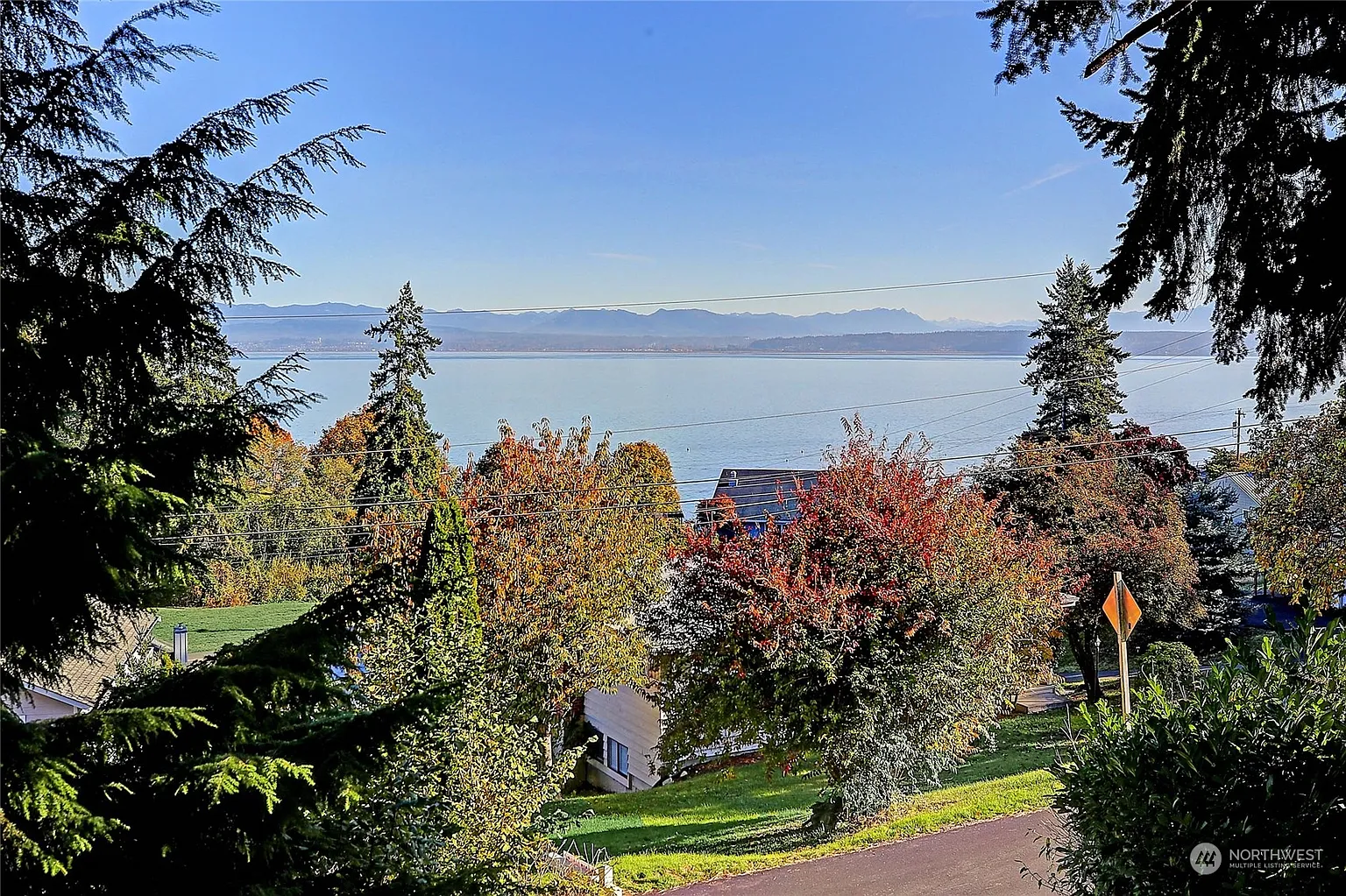 1252 View Street photo 1