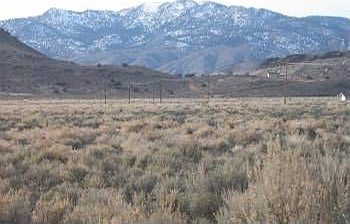 2nd image of 130 Muletail Cir