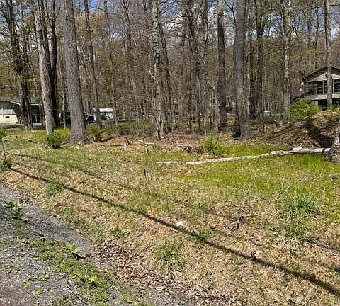 3rd image of 301 Tommys Ln