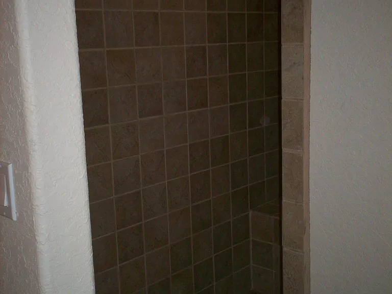 Walk-in Shower