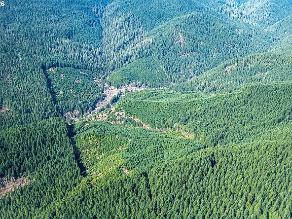 2nd image of Usfs 71 Rd