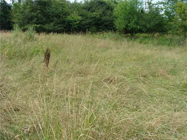LOT 8 Pleasant Unity Rd #981, Latrobe, PA 15650