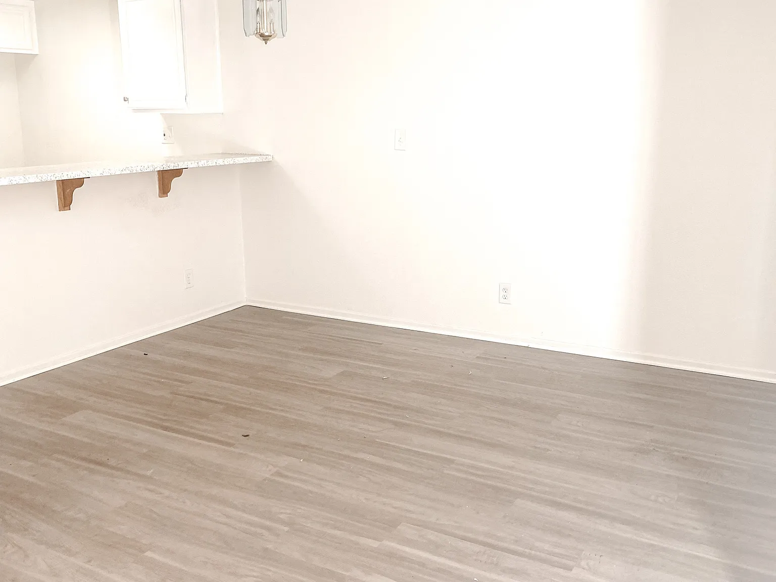 1517 Carson St — Photo 4