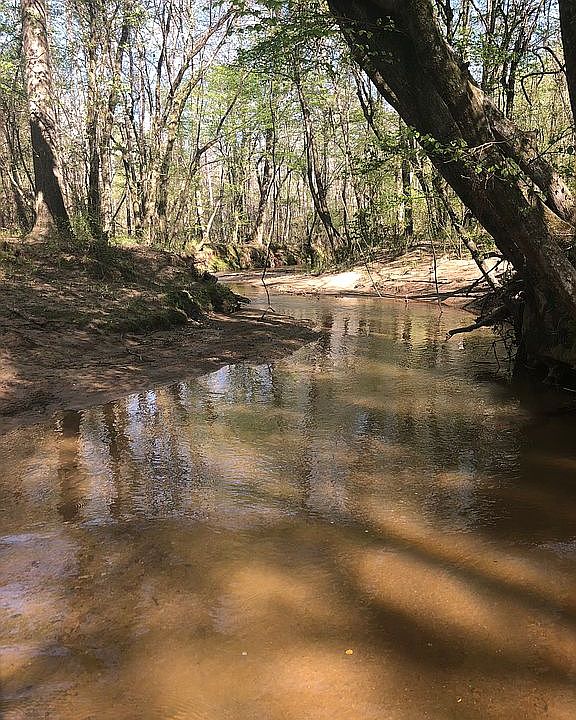 3364 County Road 258, Five Points, AL 36855 Zillow