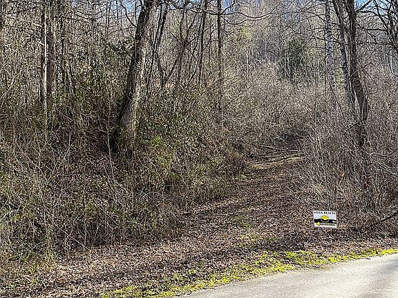 4th image of 1141 Monteith Gap Rd