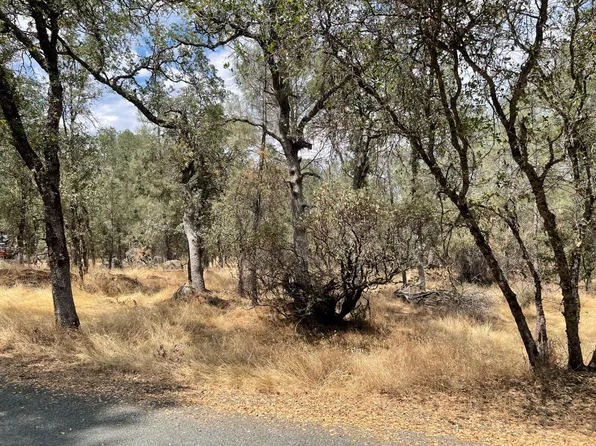 13655 Wright Rd, Auburn, CA 95602