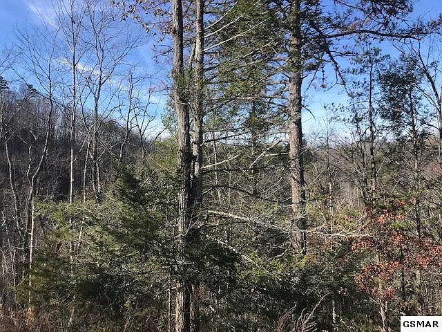 2nd image of Blossom Hollow Way