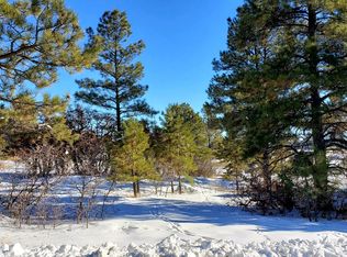 320 E Golf Pl, Pagosa Springs, CO 81147