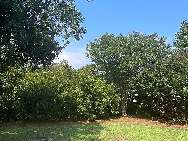 410 Mosswood Ct — Photo 21
