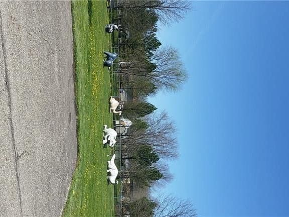 4th image of 1916 Hillsdale Dr