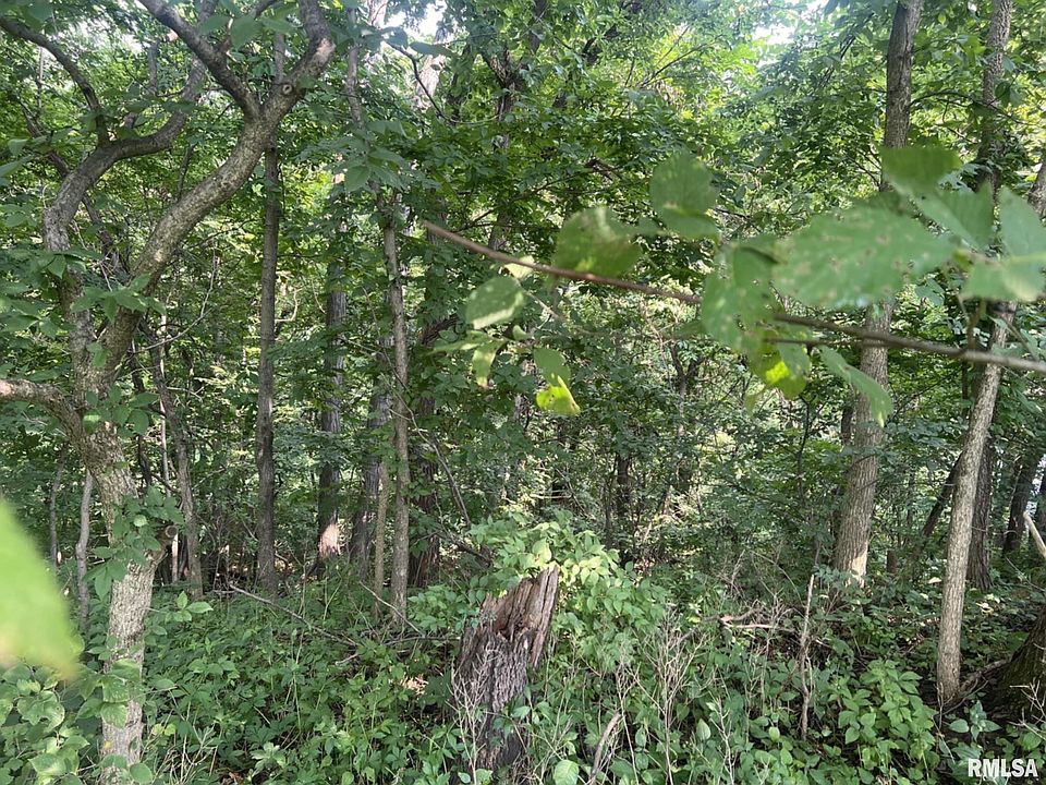 2nd image of W Buckingham Ct
