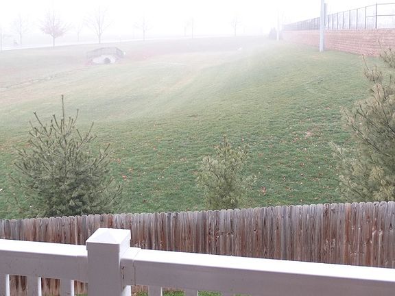 View from Deck