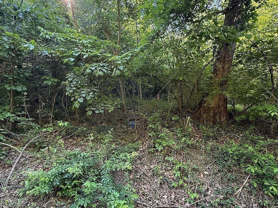1st image of 2502 Blevins Gap Rd