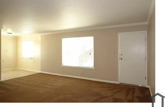 3017 Pleitner Ave #G — Photo 3