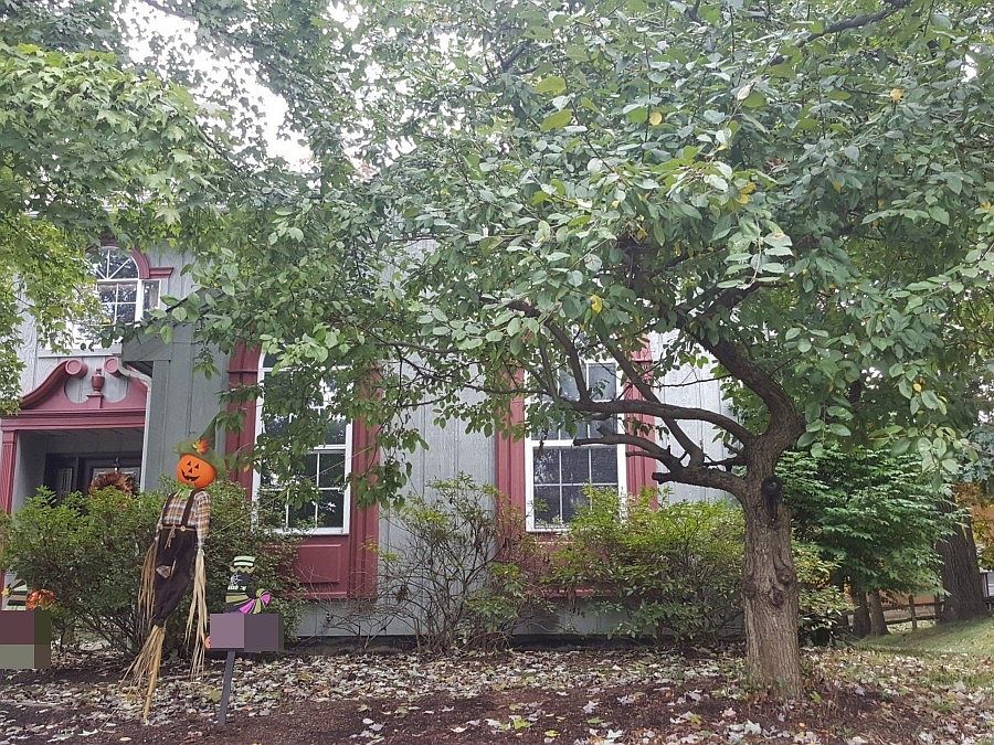 2nd image of 463 Monmouth Dr
