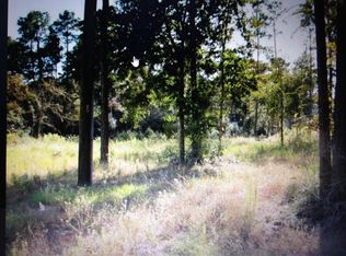 26475 Joseph Rd, Hockley, TX 77447