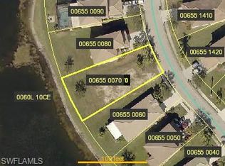 2666 Blue Cypress Lake Ct, Cape Coral, FL 33909