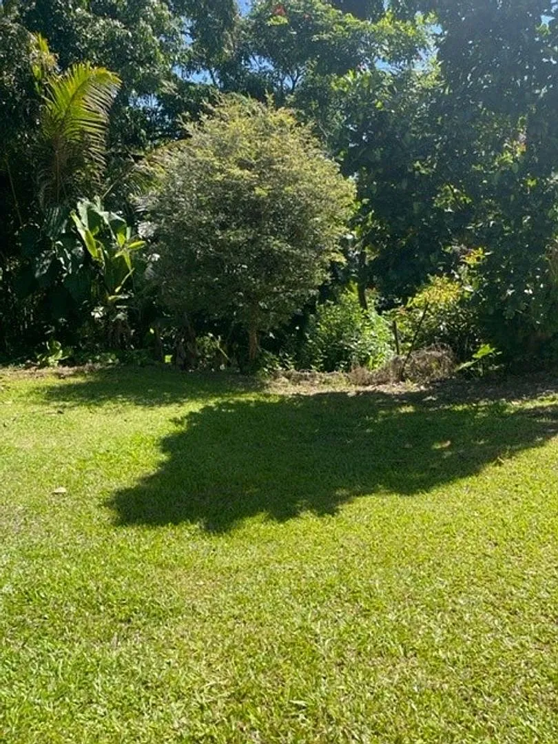 27-1724 Old Mamalahoa Hwy. Honomu, HI 96728 — Photo 3