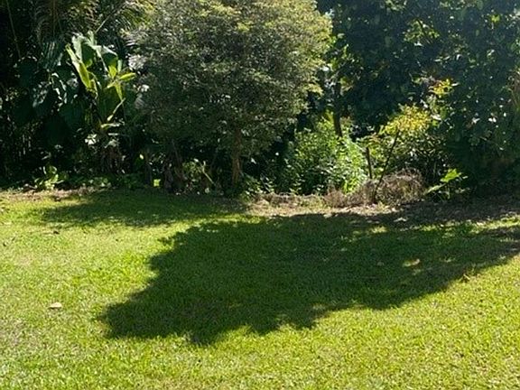 3rd image of 28-1724 Old Mamalahoa Hwy