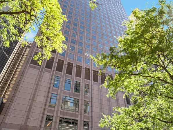 161 E Chicago Ave APT 50B, Chicago, IL 60611