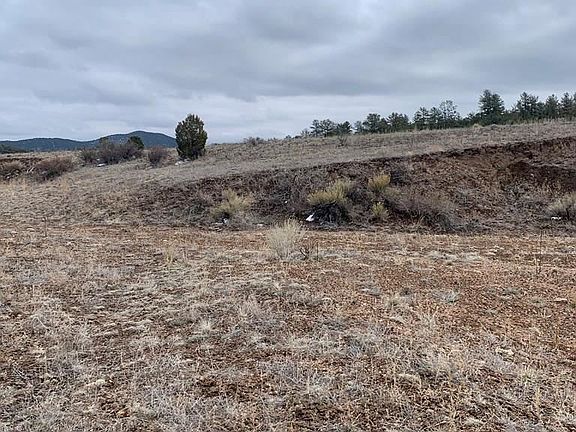 4th image of 104 Prairie Dog Ln