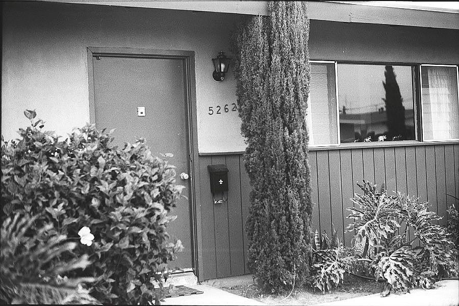 1964
