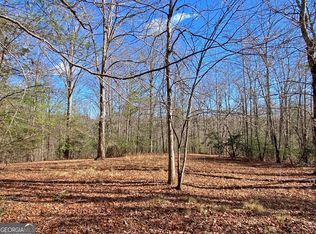 178AC Frogtown Rd, Dahlonega, GA 30533