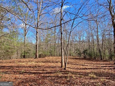178AC Frogtown Rd, Dahlonega, GA, 30533