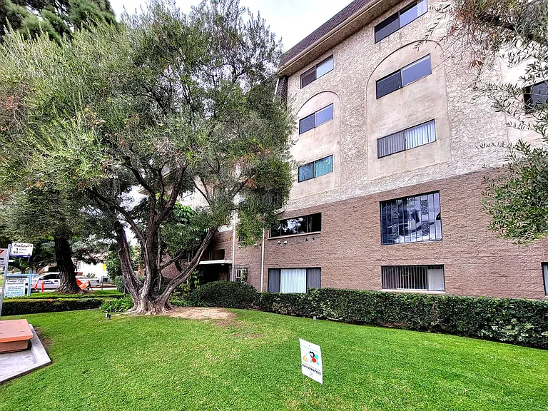 Verdugo Vista — Photo 30