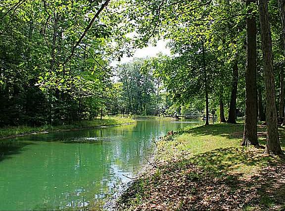 5th image of 14511 County Road 424