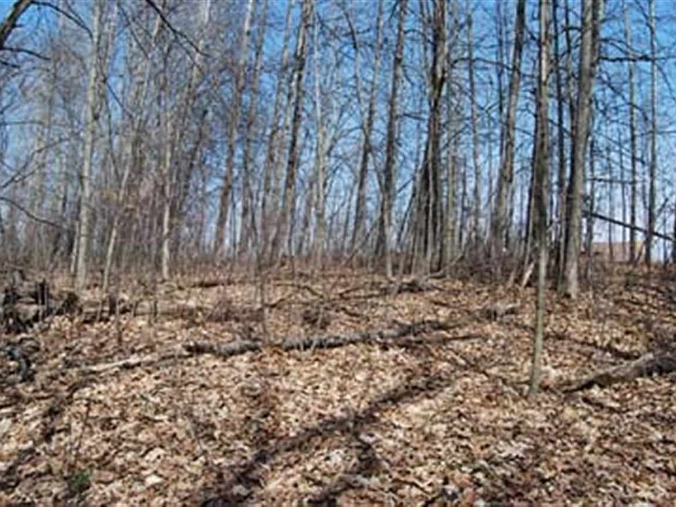 2nd image of LOT 9 Loon Ct
