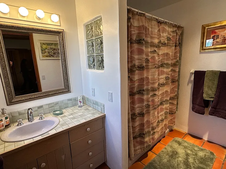 Downstairs bedroom has ensuite bath with shower and tub